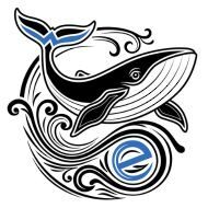 The Wehle Foundation